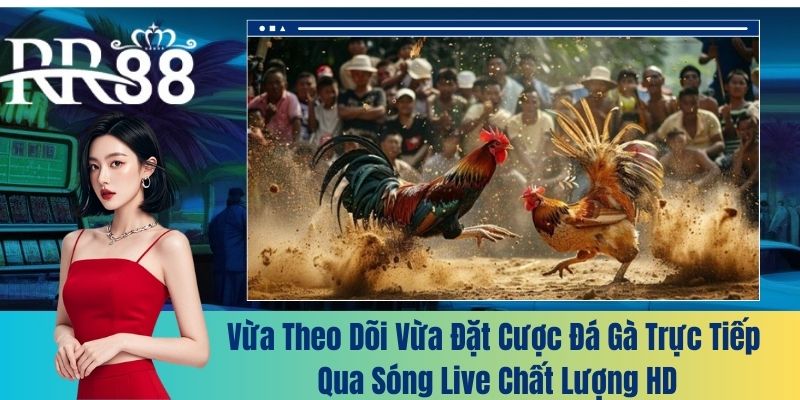 Vừa theo dõi vừa đặt cược đá gà trực tiếp qua sóng live chất lượng HD