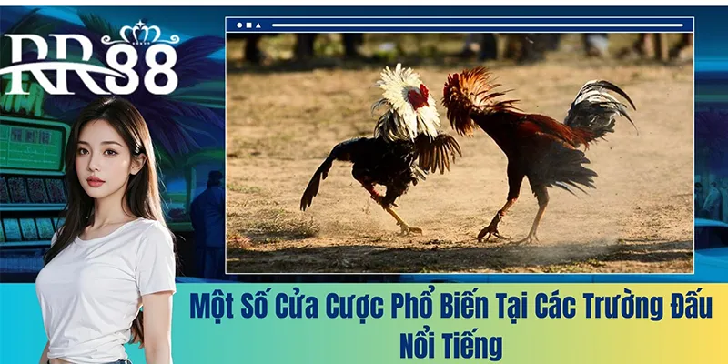 Một số cửa cược phổ biến tại các trường đấu nổi tiếng